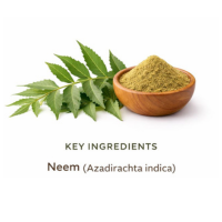 Neem Capsules – Ingredients – Neem ( Azadirachta indica) (Lf. 500 mg)